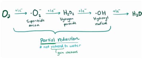 碳酸的化学式怎么写（碳酸是种什么物质）