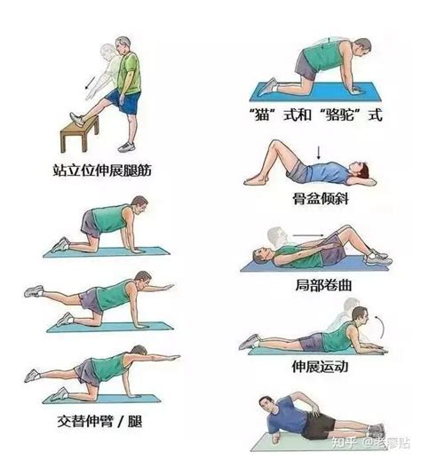 锻炼腰部的最佳方法（7个经典动作 在家锻炼腰背肌） | 健身吧