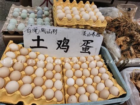 鸡蛋多少钱一斤？2017年5月10日最新鸡蛋价格及行情预测_鸡蛋价格_农村创业致富网-农村致富好项目