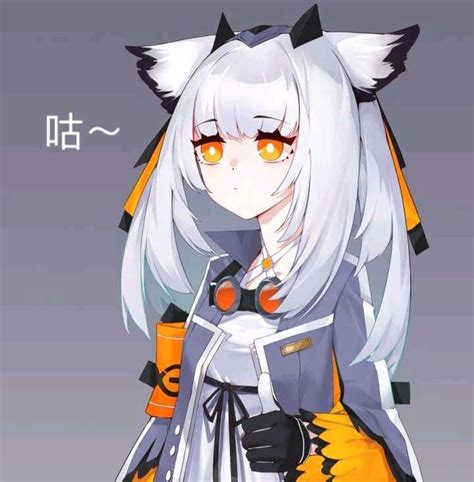 白面鸮图片