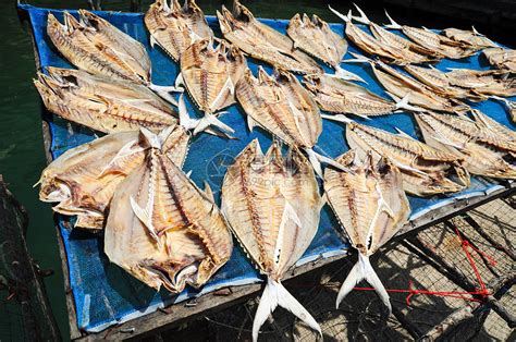 干鱼营养鲭鱼尾巴市场美食国家烹饪阳光餐厅海鲜高清图片下载-正版图片320993782-摄图网