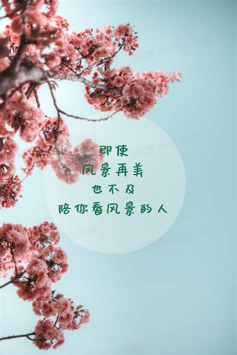 与文字图片