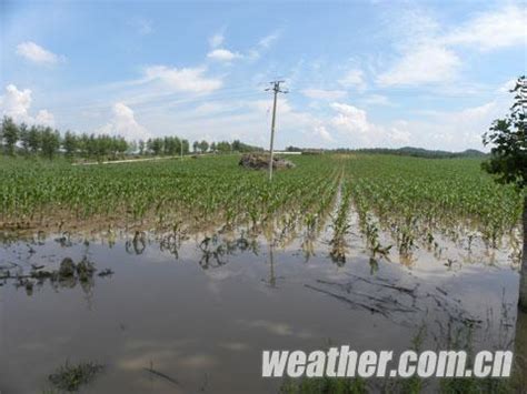 暴雨、冰雹即将来袭！赣州发布紧急预警！|暴雨|赣州市|冰雹_新浪新闻