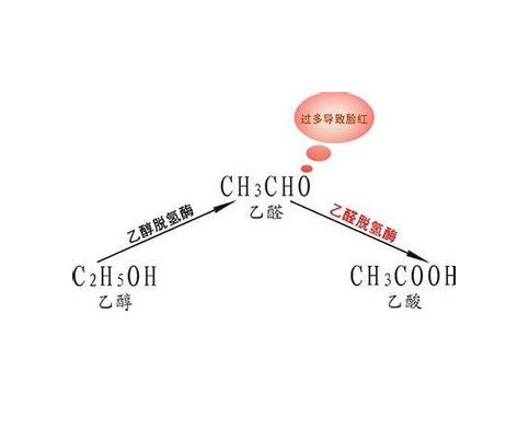 北京化工大学曾安平组ACS SynBio丨一种基于醛缩酶的新途径用于在大肠杆菌中转化甲醛和乙醇为1,3-丙二醇-西湖大学-曾安平实验室