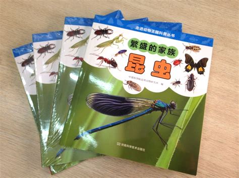 500种昆虫图片和介绍,各种昆虫图片,常见虫名称及图片(第5页)_大山谷图库
