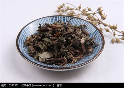 旱墨莲草药图片
