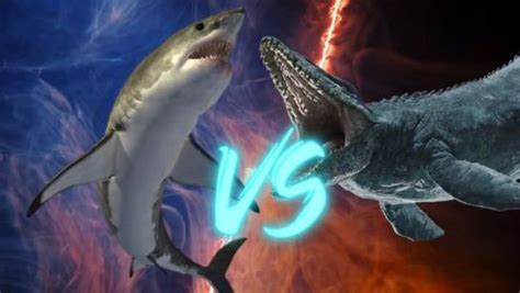 如果巨齿鲨和沧龙决斗谁会赢？