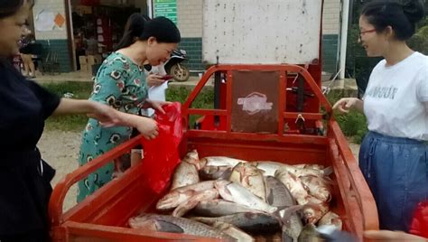 海鲜价格如同蔬菜价 舌头鱼和鲐鲅4元一斤 鲳鱼和米鱼13元两斤