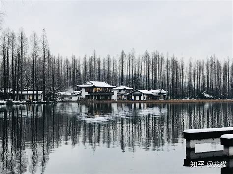 2022杭州哪里有露营的好地方_旅泊网