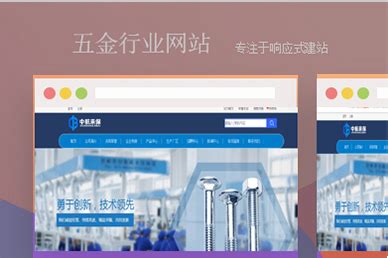 网站开发“华夏人寿”保险行业建站案例-聚搜网