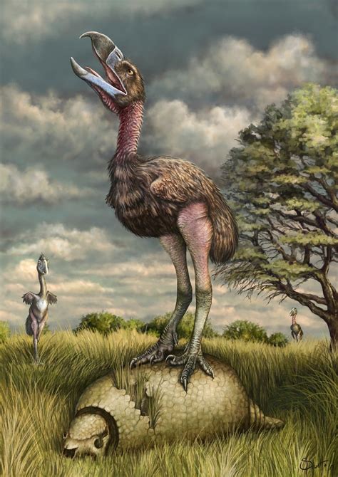 是什么让「骇鸟」那么可怕？新发现的化石足迹揭露了杀手鸟爪 - 化石网