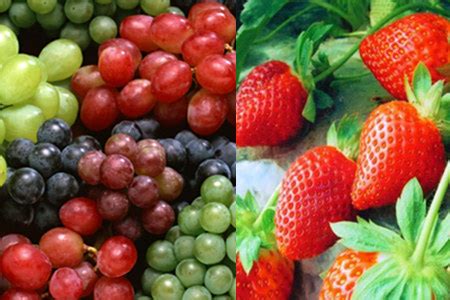 每天吃多少水果合适？ - 健康养生大全