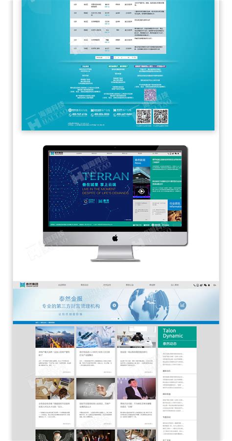 2017集团网站建设案例,泰然集团网站设计案例-海淘科技