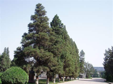 柏海的照片图片