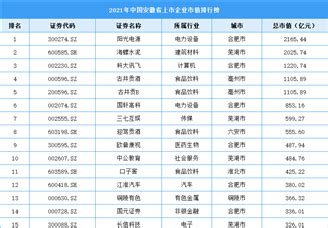 芯淮入选安徽省2020年第一批拟入库科技型中小企业名单-新闻活动-安徽芯淮电子