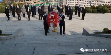 中国驻朝鲜大使馆祭奠志愿军烈士--国际--人民网