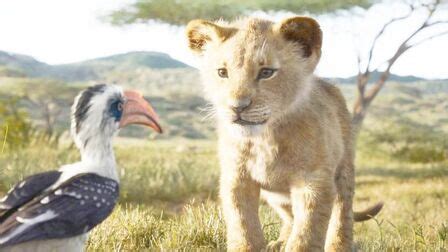 《狮子王3》-高清电影-完整版在线观看