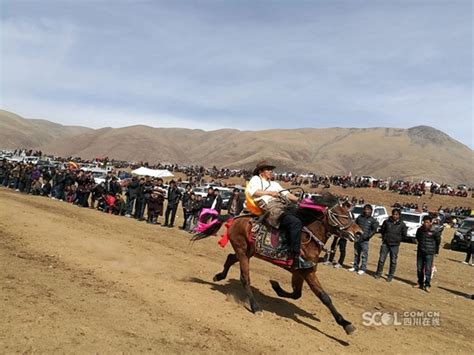 甘孜县“百马奔腾”庆祝藏历新年 藏地阳光新闻网