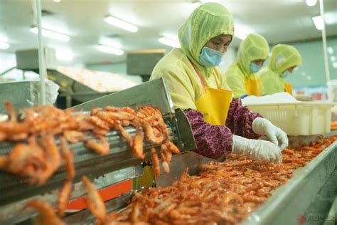湛江的海鲜为什么比外地贵，还很多人吃？真是吃穷的吗？_价格