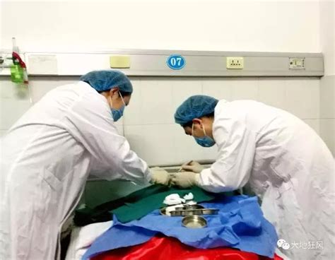 长春市有遗体和人体器官捐献志愿者2000余名 已成功捐献遗体62例器官80余例-吉网（中国吉林网）