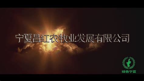 榆林市物业行业首部宣传片《暖冬》微电影精彩上映-行业动态-旺泰集团