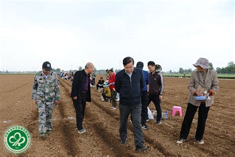 经作所组织开展2023年长江流域国家棉花品种区域试验考察