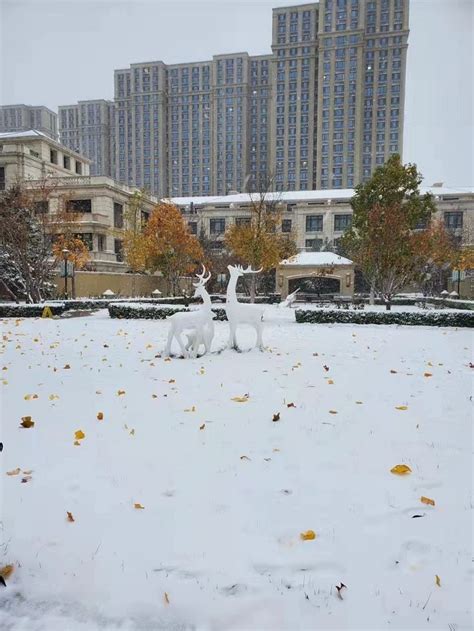 东北暴雪持续，民警全力应对-中国长安网