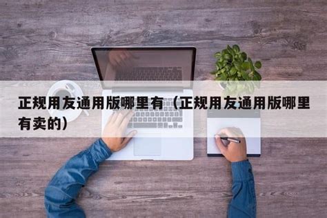 2016年中国软件外包行业基本情况及市场发展概况分析_北京富雷姆科技有限公司