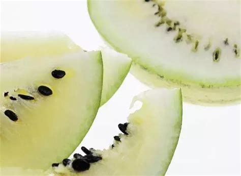 西瓜子是西瓜的籽吗？嗑瓜子技能只有中国人点亮？