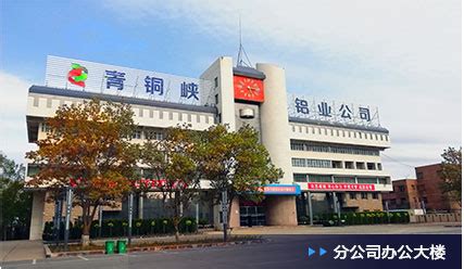 青铜峡惠农渠景观大桥-大秦建设集团有限公司
