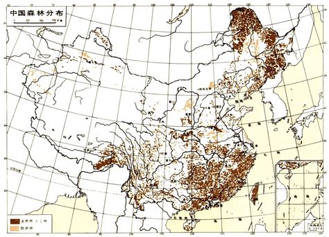 最新的全国森林覆盖率各省排行-中国森林覆盖率最高的城市