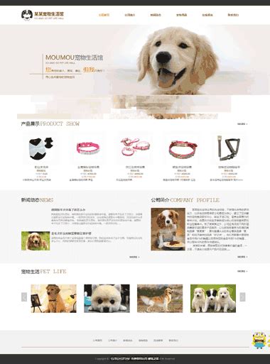 宠物用品网站模板-宠物生活馆网站-宠物网站制作-宠物用品商城-够完美