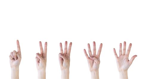 用手指展示1-5数字的手势