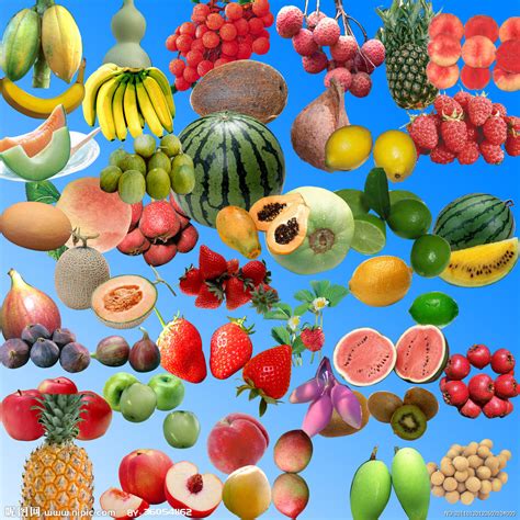 100种常见水果图片-生活百科网