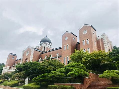 本科留学韩国优势