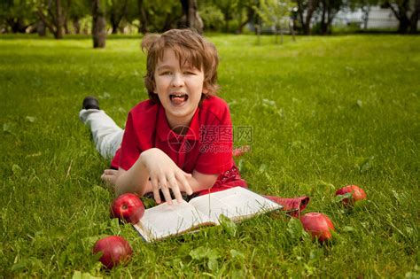 男孩和苹果树的故事，很多人看哭了