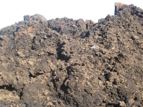 泥炭土是什么 泥炭土的特性_百科知识_学堂_齐家网