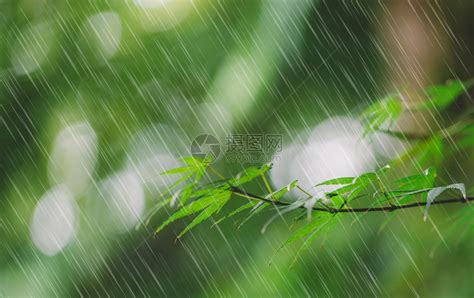 下雨天水面水滴雨水节气雨滴水面水花飞溅摄影图配图高清摄影大图-千库网