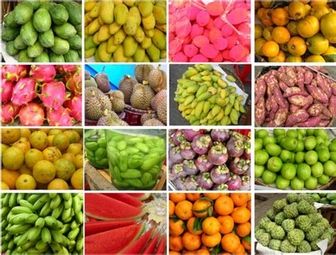 芒果是一种热带水果，多产自于热带地区，教你该如何新鲜保存！__财经头条
