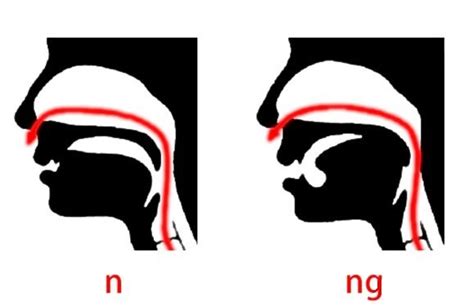 前鼻韵母和后鼻韵母有哪些 前鼻音母后鼻韵母拼读_华夏智能网