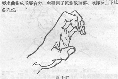 爪形手垂腕猿手,爪形手垂腕猿手,爪形手和猿手(第2页)_大山谷图库