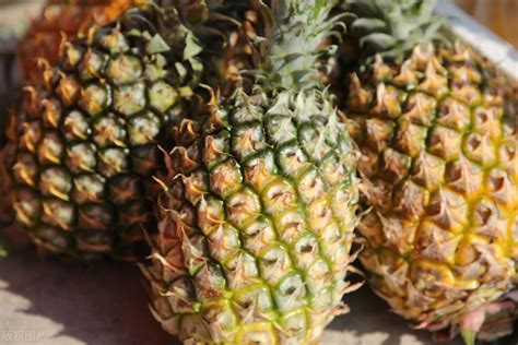 菠萝和凤梨的区别是什么？功效与作用、禁忌有哪些？怎么吃？_膳食养生频道_东方养生