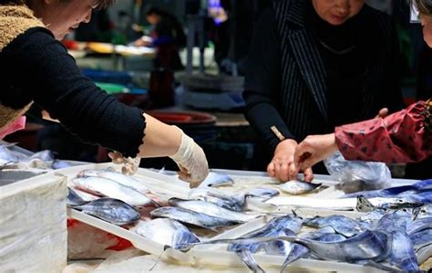 卖鱼市场,市场卖鱼,菜市场卖鱼(第13页)_大山谷图库
