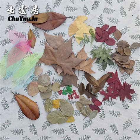有一种美叫“落叶不扫”，但是你知道吗？“不扫”可要比“必扫”难多了——上海热线HOT频道