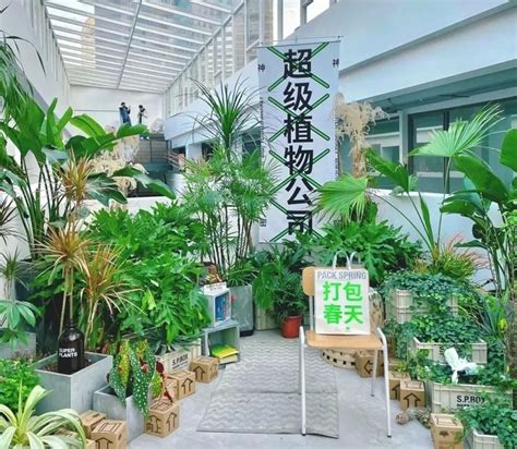 开店看台湾 ，花店新风潮，6家「质感植物店」给你开店新灵感 - 知乎
