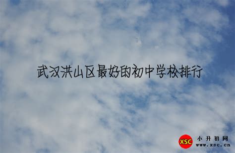 2019年武汉洪山高中游校宣讲会 - 米粒妈咪