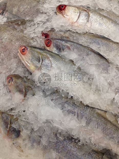 市场上的冰架鲜鱼高清图片下载-正版图片303514489-摄图网