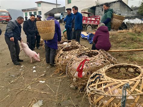 【乡村集市摄影图片】建德新叶古村纪实摄影_玩音乐、爱摄影_太平洋电脑网摄影部落