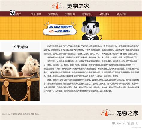 宠物网站|网页|企业官网|小蔡小菜 - 原创作品 - 站酷 (ZCOOL)