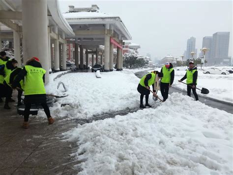 我院“小青亭”志愿者积极响应号召开展冬季清扫积雪活动-滁州职业技术学院